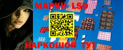 тгк Донской