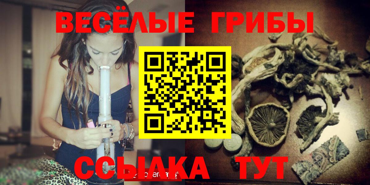 Галлюциногенные грибы GOLDEN TEACHER Новороссийск