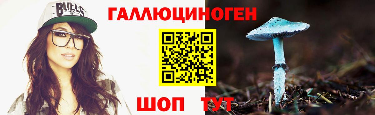Новороссийск  Псилоцибиновые грибы мухоморы  Вход с VPN 